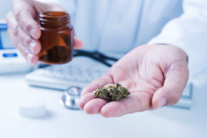 Read more about the article Über die Hälfte kanadischer MS-Patient*innen nutzt medizinisches Cannabis