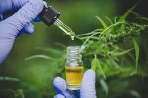 Read more about the article Australische Langzeitstudie: Oral applizierte Cannabis-Medikamente sind sicher und verbessern die Lebensqualität signifikant