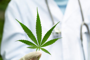 Read more about the article US-Regierung finanziert Forschung zu Cannabis in der Krebstherapie