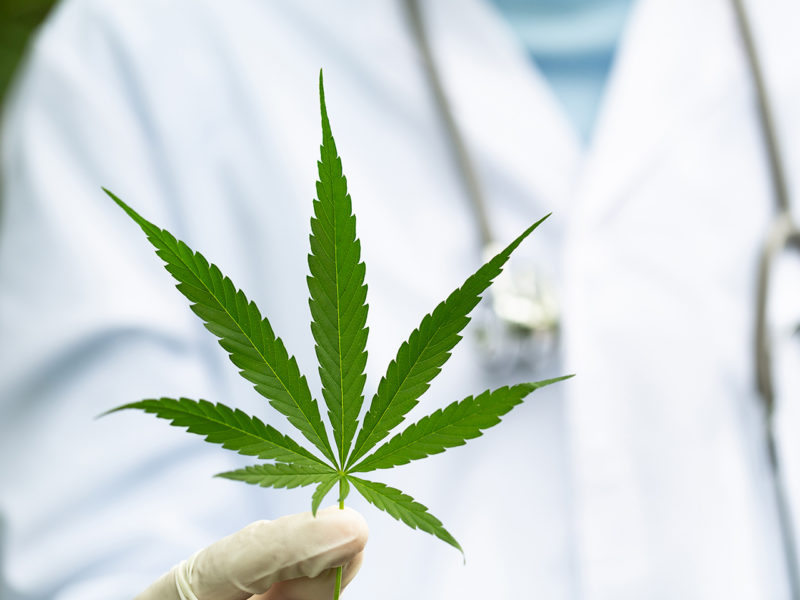 US-Regierung finanziert Forschung zu Cannabis in der Krebstherapie