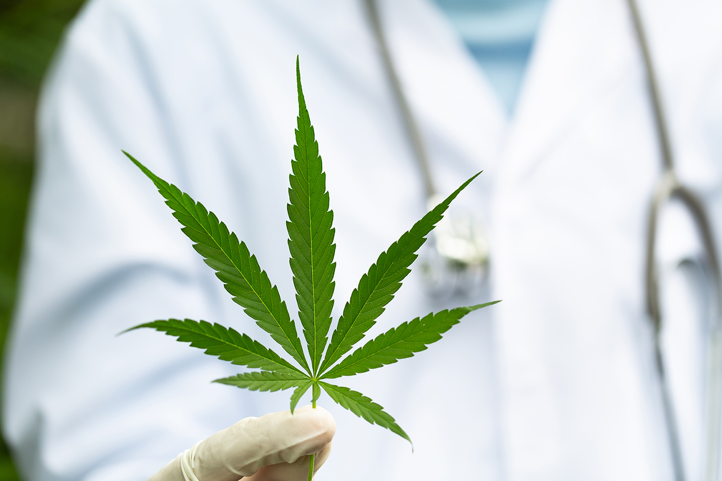You are currently viewing US-Regierung finanziert Forschung zu Cannabis in der Krebstherapie